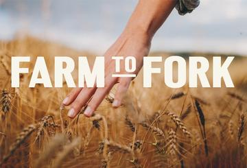 Farm To Fork