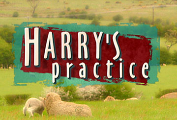 Harry's Practice