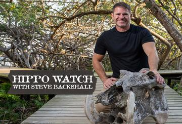 Hippo Watch with Steve Backshall