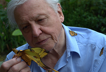 David Attenborough's Galapagos