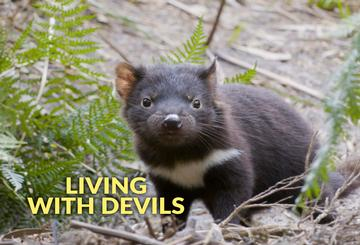 Living With Devils