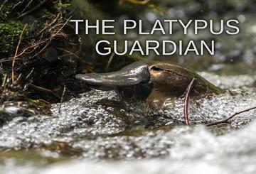 The Platypus Guardian