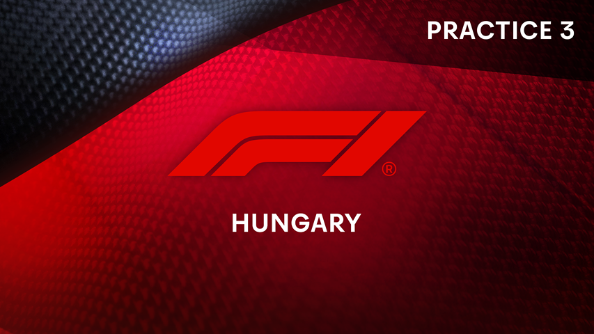 Live: F1: Hungary Practice 3