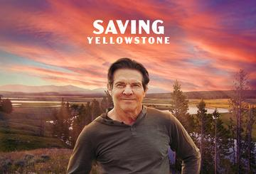 Saving Yellowstone