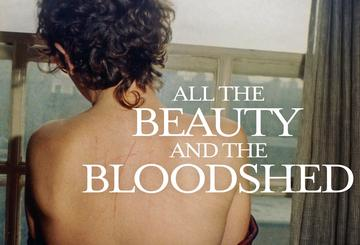 All the Beauty and the Bloodshed