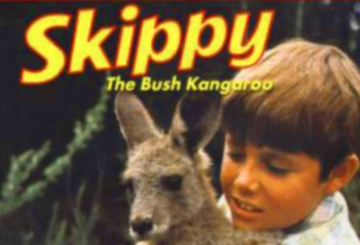 Skippy - The Bush Kangaroo