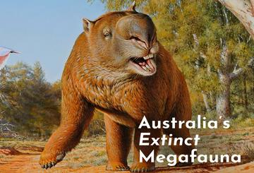 Australia's Extinct Megafauna