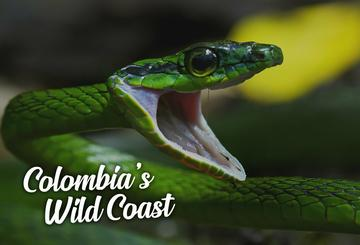 Colombia's Wild Coast