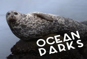 Ocean Parks