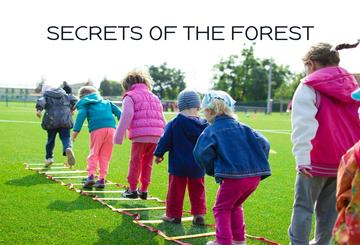 Secrets Of The Forest