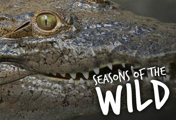Seasons of the Wild