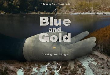 Blue and Gold