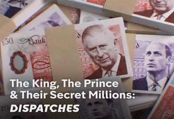 The King & The Prince's Secret Millions
