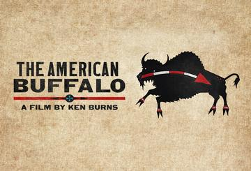 The American Buffalo