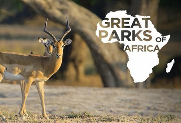 Great Parks Of Africa