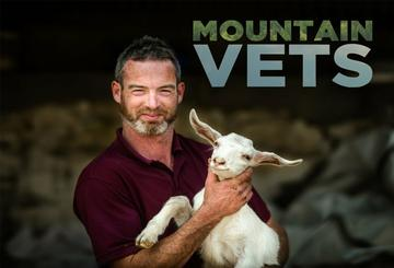 Mountain Vets