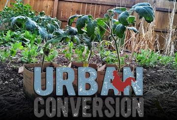 Urban Conversion