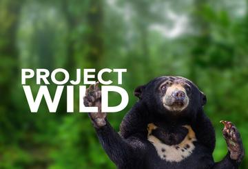 Project Wild