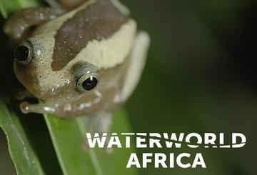 Waterworld Africa