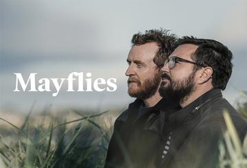 Mayflies