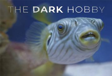 Aquariums: The Dark Hobby