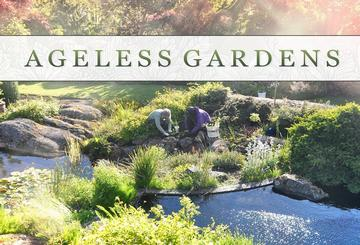 Ageless Gardens