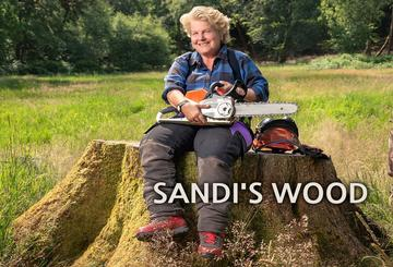 Sandi's Wood