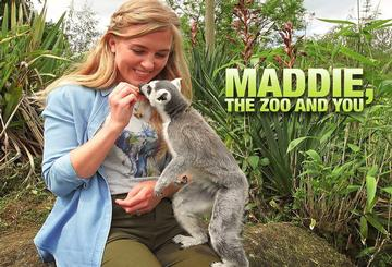 Maddie, the Zoo and You