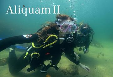 Aliquam Dive Stories II