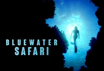 Bluewater Safari