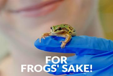 For Frogs' Sake!