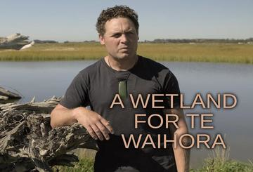 A Wetland For Te Waihora