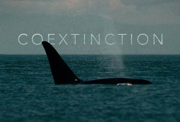 Coextinction