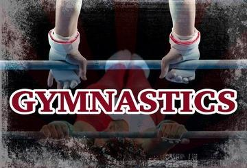 International Gymnastics