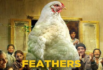 Feathers