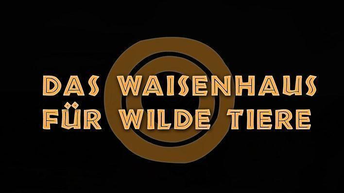 Das Waisenhaus für wilde Tiere