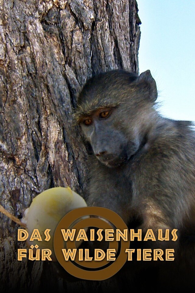 Das Waisenhaus für wilde Tiere - Abenteuer Afrika
