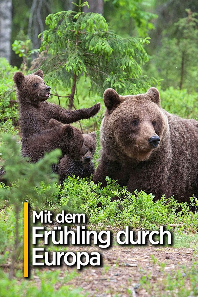 Mit dem Frühling durch Europa