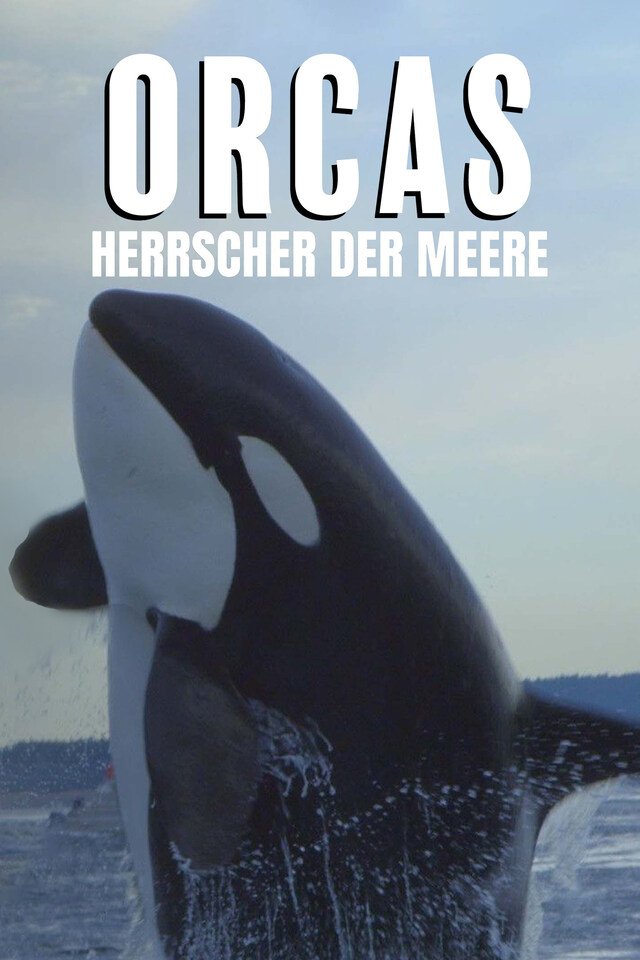 Orcas - Herrscher der Meere