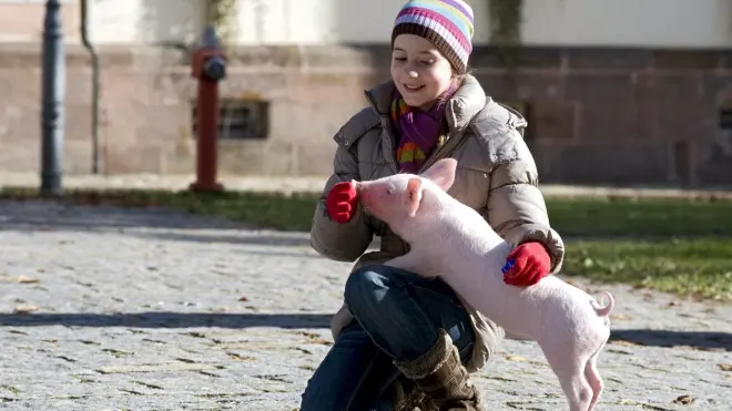 Tiere bis unters Dach (90)