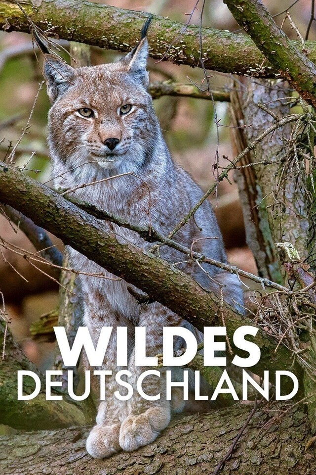 Wildes Deutschland