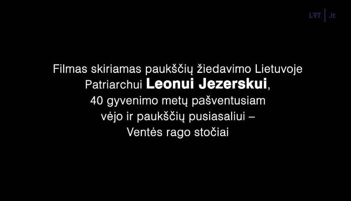 Didžioji paukščių paslaptis