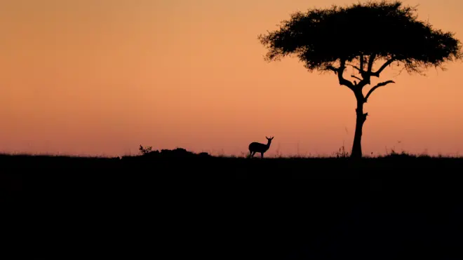 African Empires
