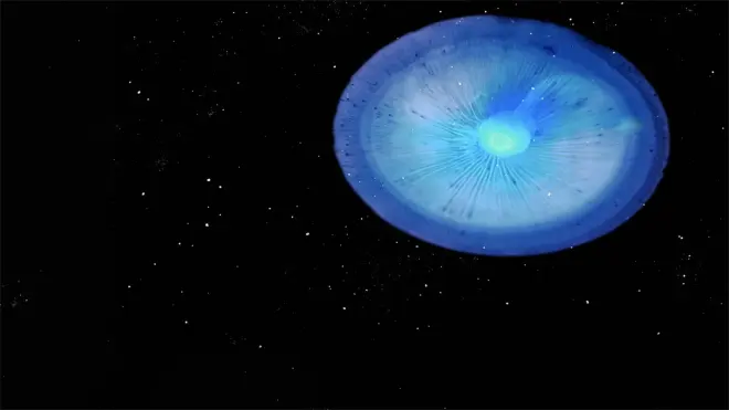 Astronome gastronome