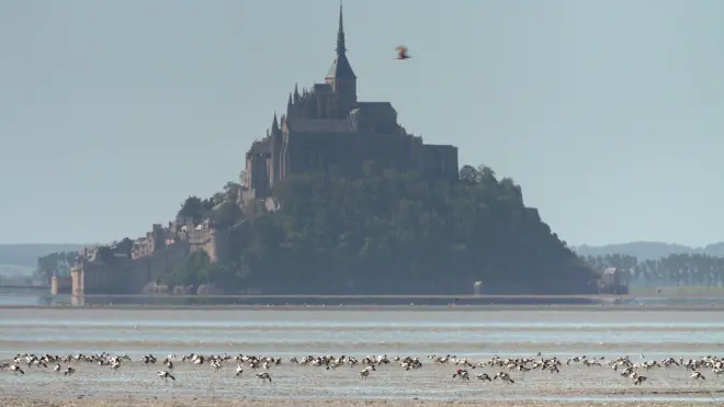 La baie de la grande marée